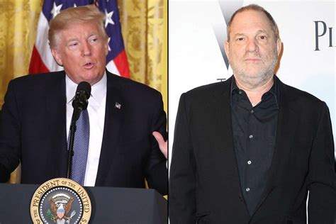 trump was not surprised by harvey weinstein sexual harassment allegations