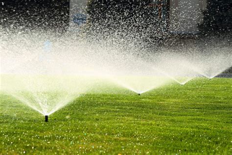 Sprinkler And Irrigation Services Lawn Care Landscaping And More