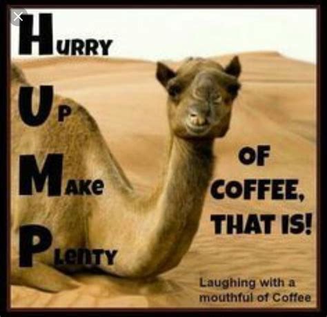 Pin By Joe Del Valle On Coffee Dailys Wednesday Coffee Hump Day