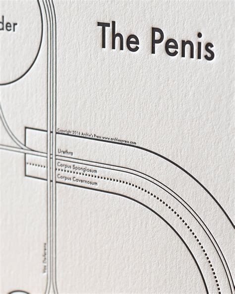the penis print archie s press