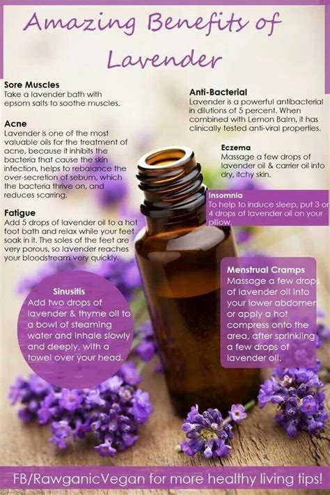 I Cant Live Without My Lavender What A Godsend Lavender Benefits Living Essentials Oils