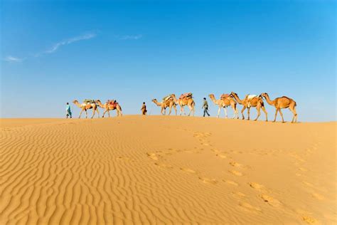 The Thar Desert Rajasthan India