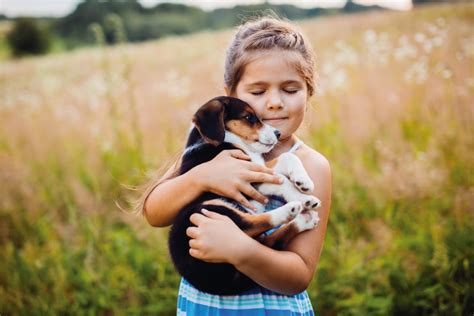 Consejos De Adopci N De Mascotas Seg N Mascota Planet Noticias De