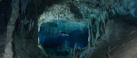 Cave Diving In Playa Del Carmen Advanced Diver Mexico