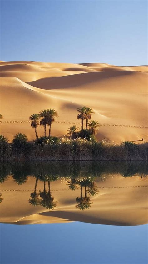 Desert Oasis Libya Oasis Iphone Desert Hd Phone Wallpaper Pxfuel