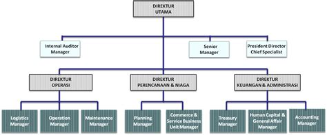 Struktur Organisasi Perusahaan Jasa Homecare Vrogue Co