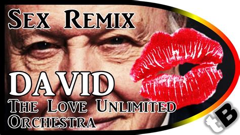sex the love unlimited orchestra midnight groove and david attenborough terribel sex remix