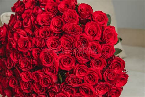 Fresh Scarlet Roses Stock Image Image Of Event T 4941753