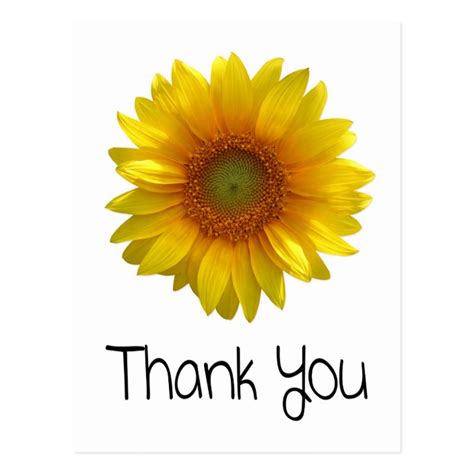 Personalized Thank You Sunflower Greeting Postcard