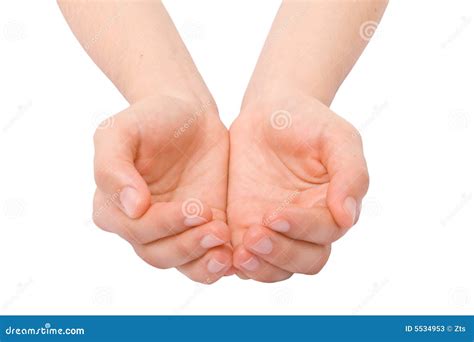 Open Hands Stock Image Image Of Begging Female Together 5534953