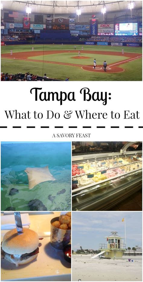Tampa Bay What To Do And Where To Eat Tampa Bay Area Visit Florida