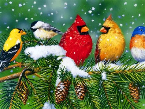 Birds And Blooms Winter Wallpaper Wallpapersafari