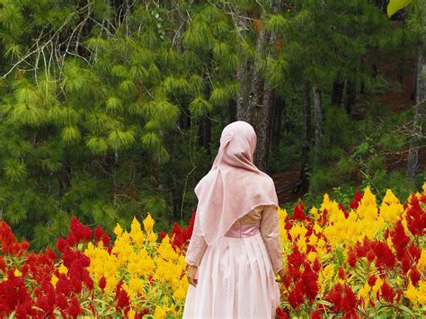 paling populer 22 gambar foto wanita berhijab membawa bunga gambar bunga indah