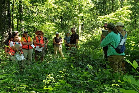 Another Successful Natural Resources Teacher Institute Forestry