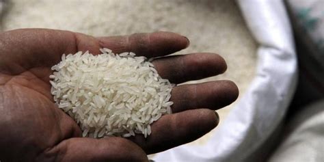 China Buys Indian Rice For First Time In Decades As Supplies Tighten