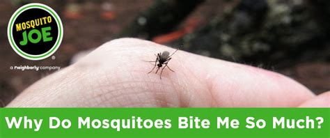 Why Do Mosquitoes Bite Me Mosquito Joe Of Nw Houston
