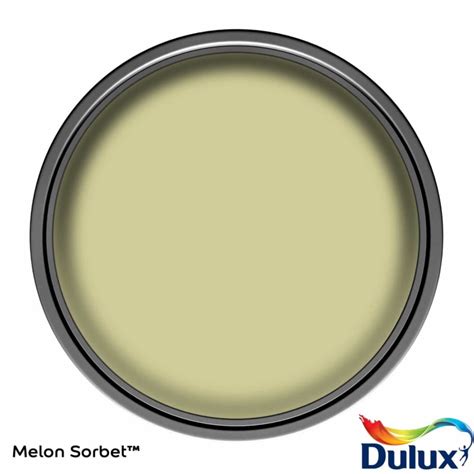 Dulux Matt Paint 25l Melon Sorbet Diy Bandm