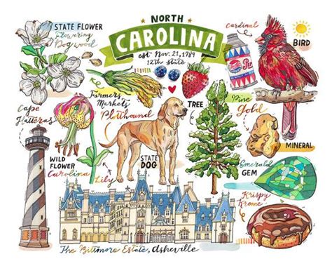 North Carolina Print State Symbols Illustration State Art Etsy