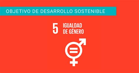 Objetivo Igualdad De Genero Ods Objetivos De Desarrollo Sostenible