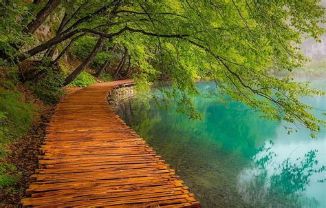 Paysage Photographie Nature Allée Lac Des Arbres Chemin Eau Turquoise