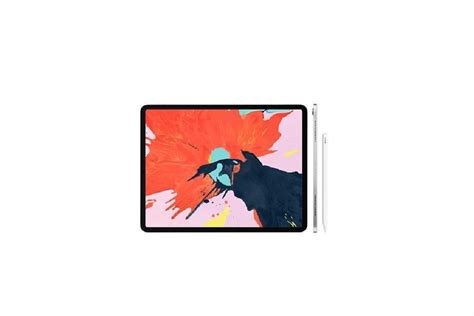 Apple Ipad Pro 11 Inch 2018 Wifi 64gb Tablet آرکا آنلاین