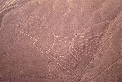 Lineas De Nazca Foto