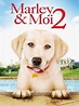 Marley & Me: The Puppy Years