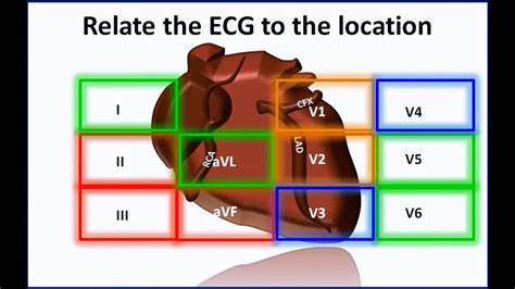 Nursing Bibs Ekg Leads Localization