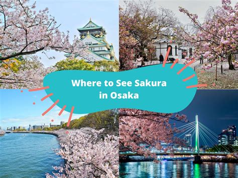 The Best Spots To See Sakura In Osaka KKday Blog