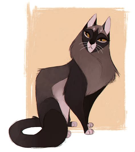Cat Character Design By Feyrah On Deviantart