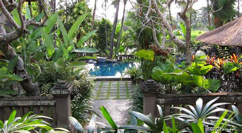 Balinese Garden Bali Garden Balinese Garden Garden Design Pictures