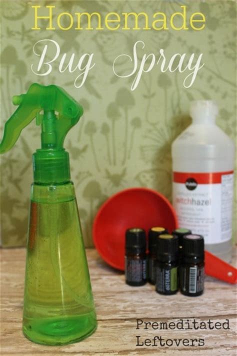 Check spelling or type a new query. Natural Homemade Insect Repellent - Premeditated Leftovers