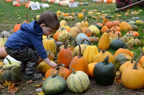 The spirits and evil entities, the clowns (good or bad) those hero's (ghost busters) who are there to protect us.they travel from far and wide to take. Columbus Pumpkin Patches, Farm Activities, and Corn Mazes