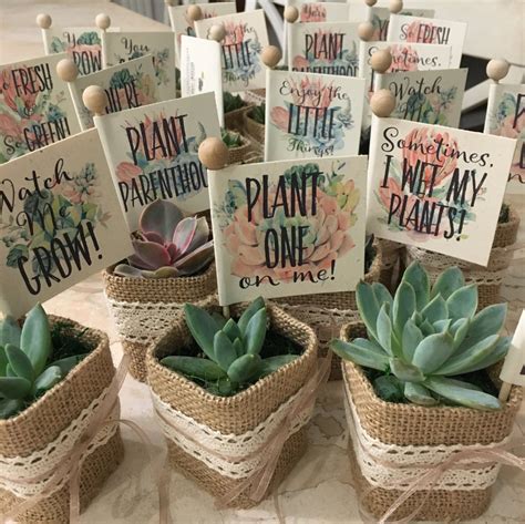 74 items in this article 17 items on sale! 25 Baby Shower Favors Succulents with Personalized Funny ...