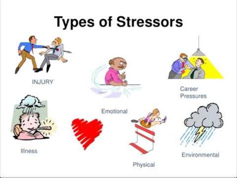 Types Of Stressors Youtube