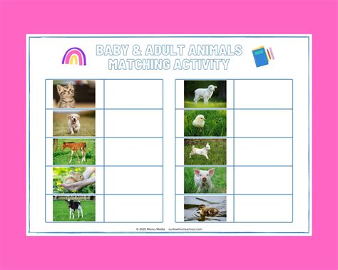 Baby And Adult Animals Matching Activity Our Kiwi Homeschool
