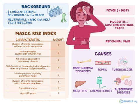 Neutropenic Fever What Is It Causes Symptoms Diagnosis Risk