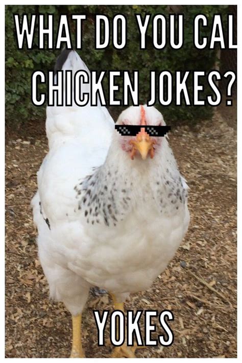 Chicken Jokes Yokes Chicken Jokes Cute Jokes Comedians Jokes