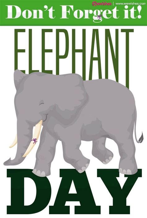 World Elephant Day 2023 Top Quotes And Wishes We Wishes