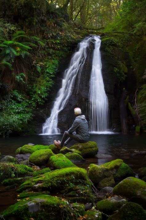 New England National Park Is Full Of Fairy Tale Forests Nsw We Are