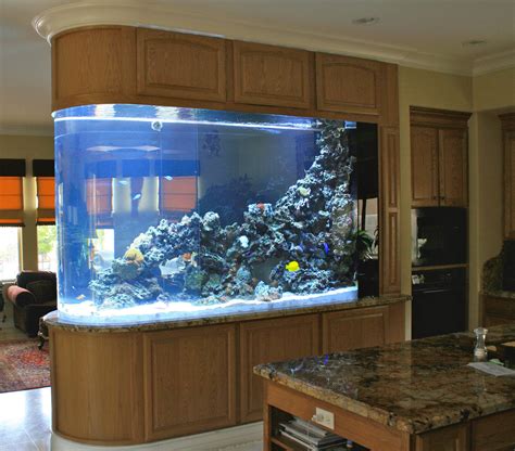Beautiful Aquarium Custom Aquarium Home Aquarium House Design Reverasite