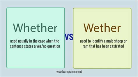 Whether Or Wether