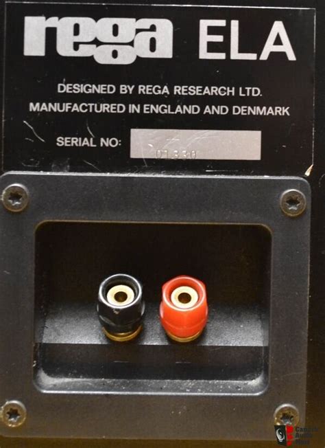 Rega Ela Mk1 Transmission Line Speakers Lowered Price Photo 1381189