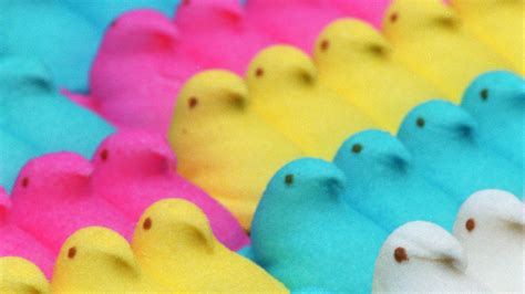 Peeps Wallpapers Wallpaper Cave