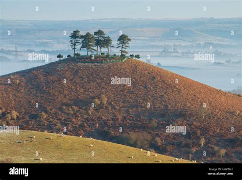 Colmers Hill Winter Hi Res Stock Photography And Images Alamy