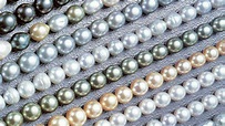 Perlen: Perlen-Vielfalt - Schmuck - Natur - Planet Wissen