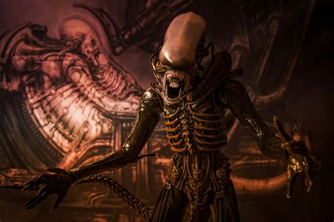 Welcome to the official alien facebook page. Xenomorph, Toys, Alien (movie) Wallpapers HD / Desktop and ...
