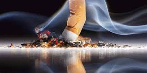 ما هي أنواع أمراض السرطان التي يسببها التدخين