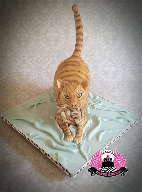One Cool Cat Sculpted Cakes Dog Cakes Whiskers Cool Cats Amazing