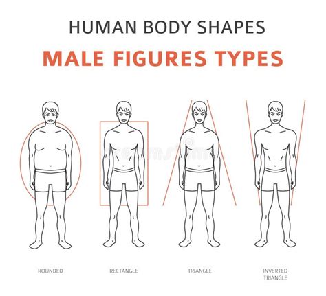 Human Body Shapes Female Figures Types Set Stock Vector Illustration